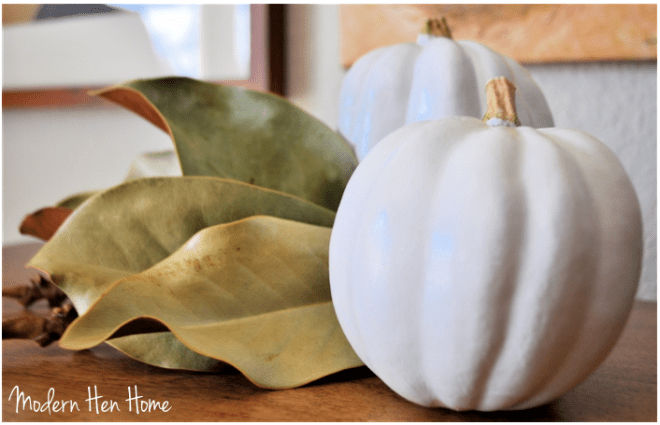 White Pumpkin 1